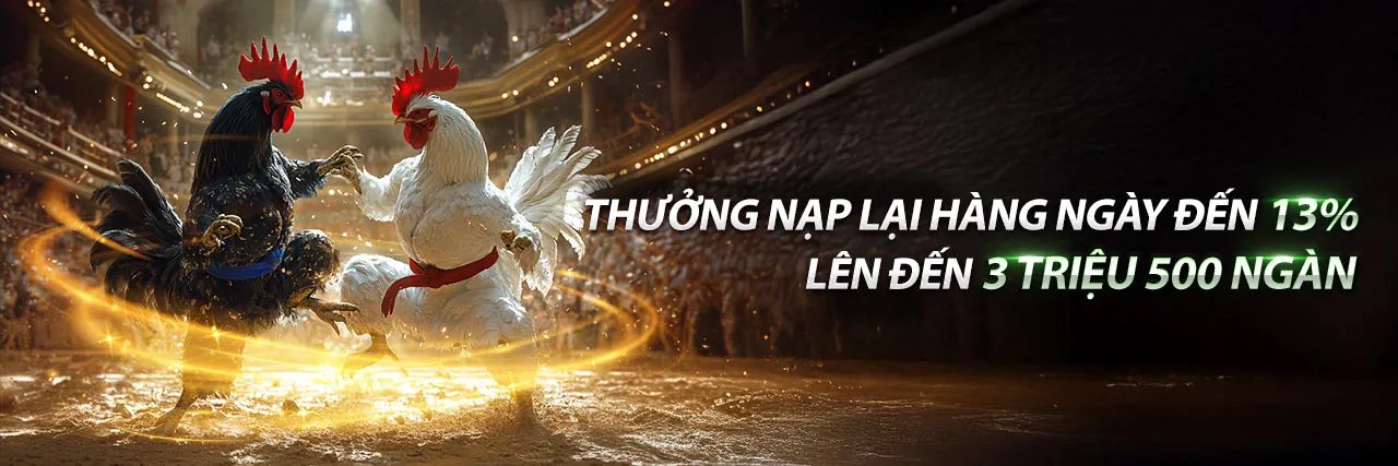 Tổng quan về 888now11, nền tảng cá cược trực tuyến hàng đầu